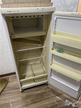 Snaige холодильник