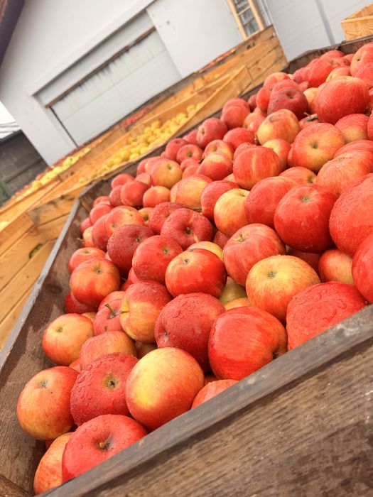 Vand mere calitatea 1