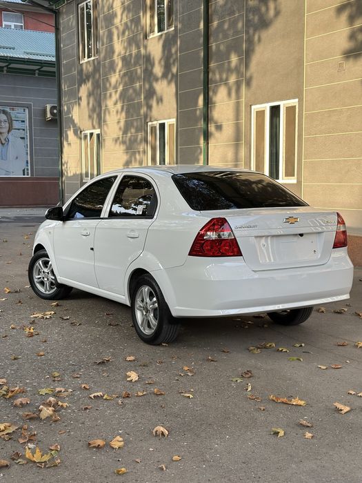 Nexia 3 kraska tozza