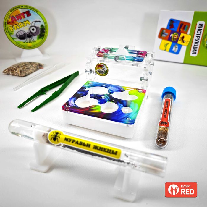 ГИПСОВЫЙ Формикарий "ELEMENT" ||| Муравьиная ферма - Муравьи жнецы