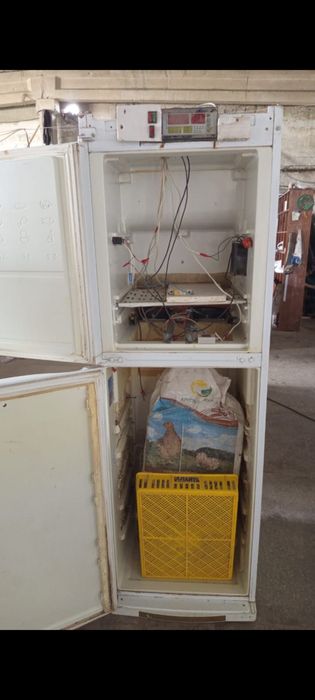 Инкубатор для яицо перепелений