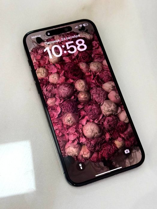 iPhone 15 pro max 256