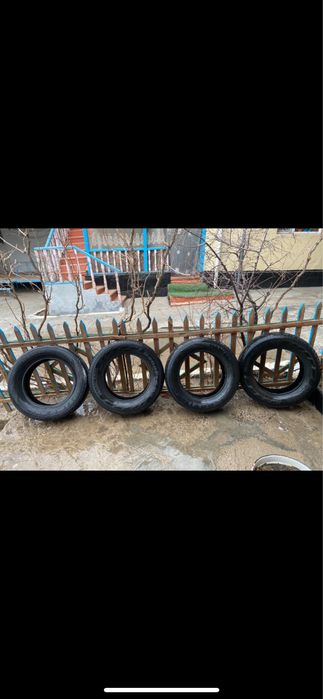 Балон 15 тен бастап 18 ге дейын