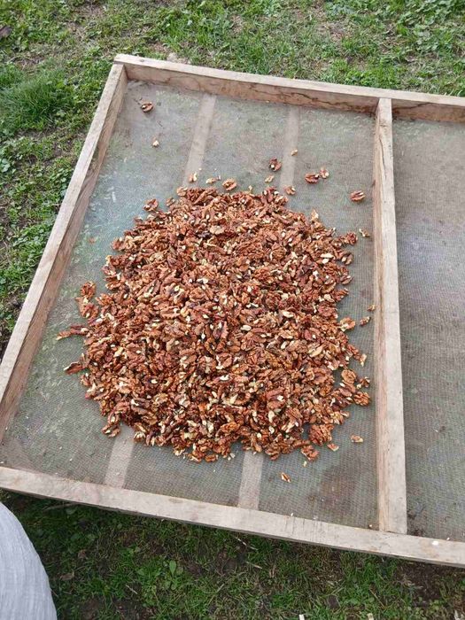 орехова ядка светъл махагон