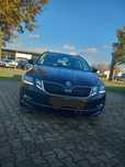 Skoda octavia 2019 luna 8