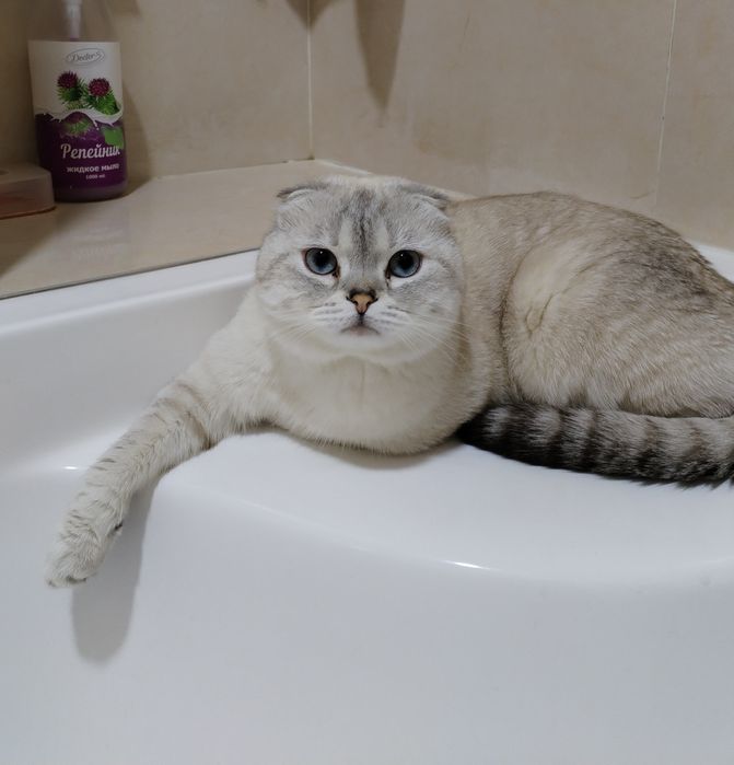 Вязка, не подаётся.