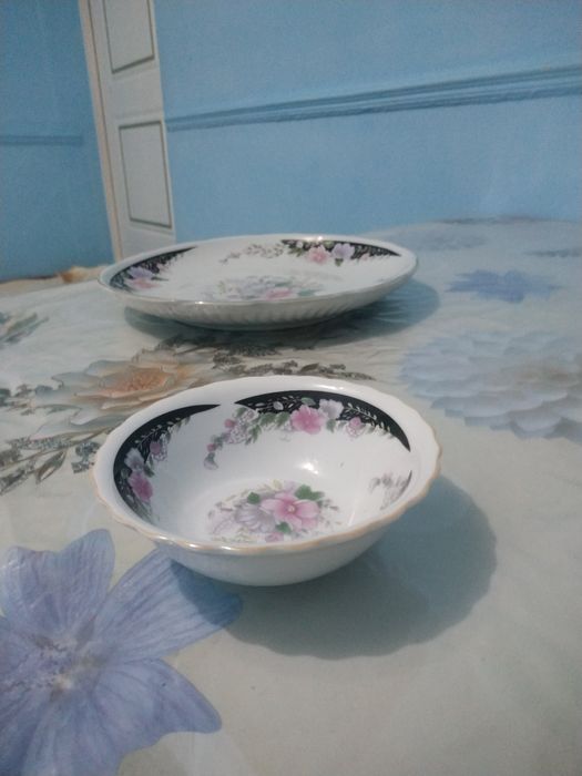 Коракош тарелкалар коса пиела