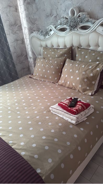 Кв на сутки и ночь к7 фамили