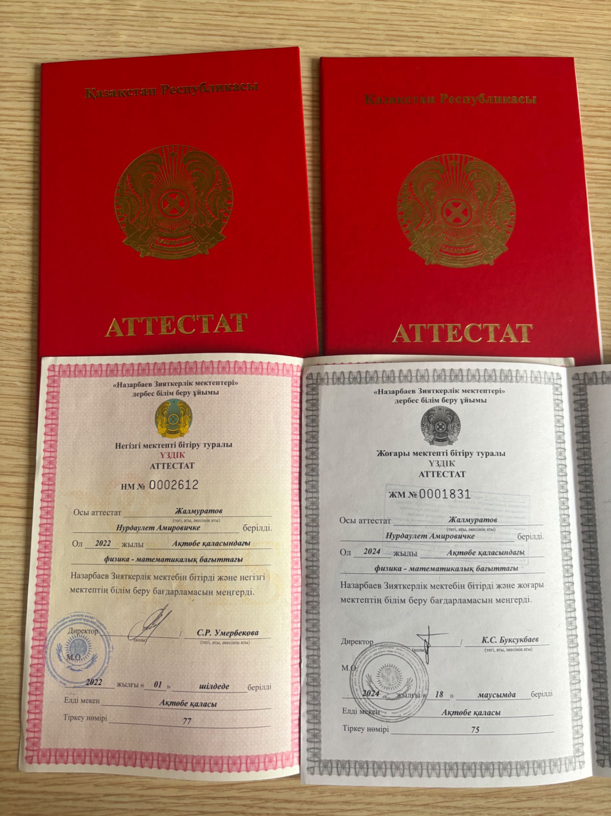Репетитор по программированию