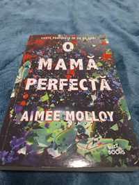 O mamă perfectă de Aimee Molloy