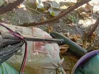 Motor electric  50 lb