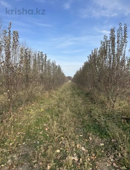 2ГА + Дом + 1900 яблонь