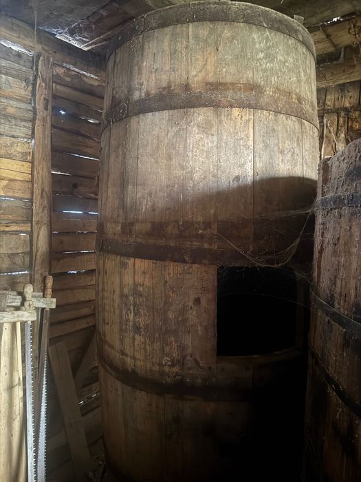 Carator borhot prune