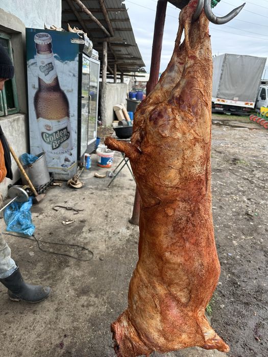 Berbecuti pentru MACELARIE, PROTAP sau PASTRAMA - 5km de bucuresti