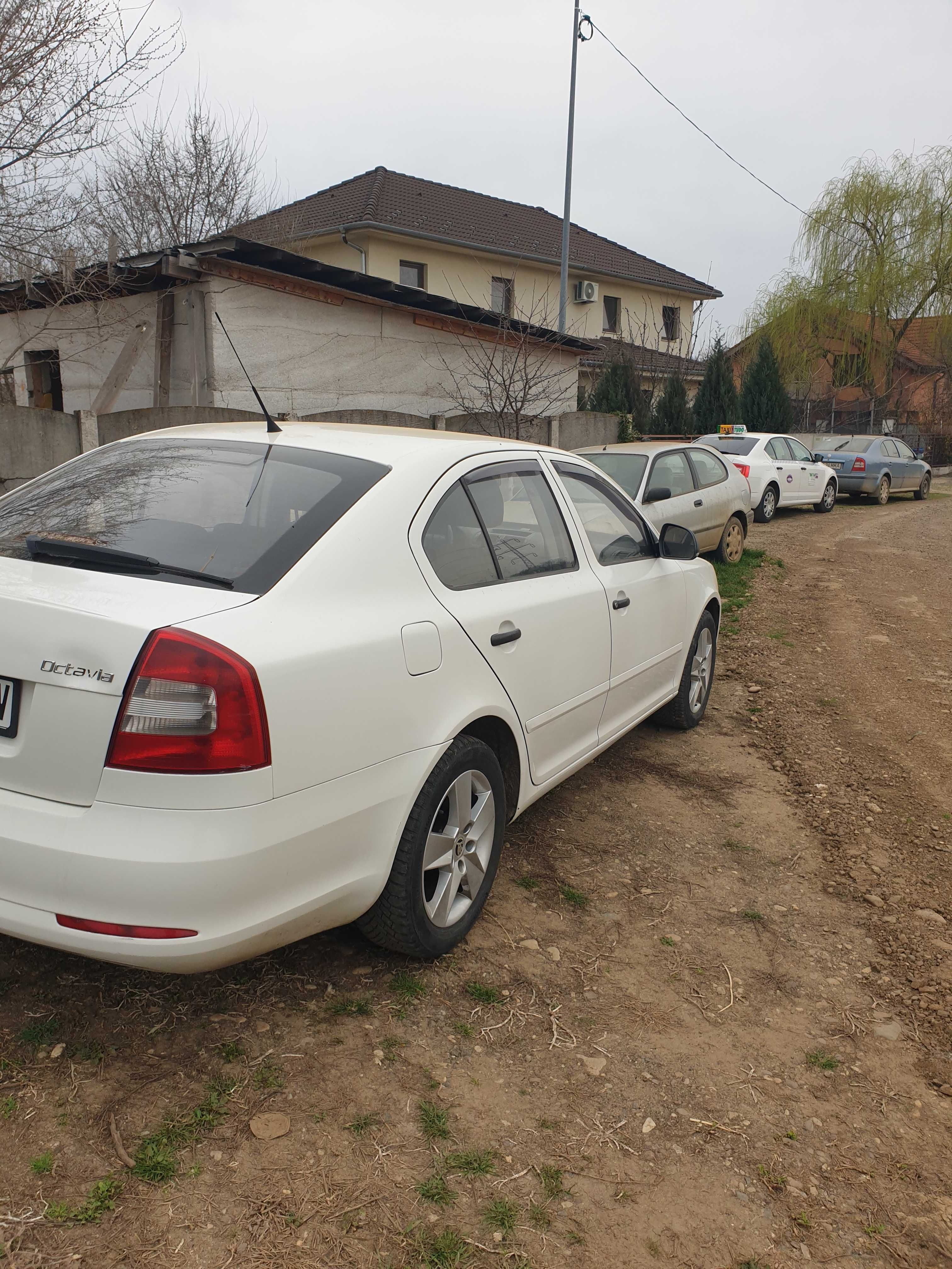 Vind  skoda octavia