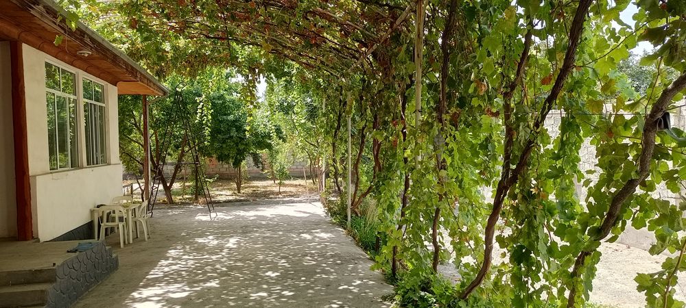 Ховли сотилади  совурбулок