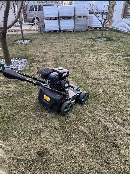 Defrisări/Cosmetizare Copaci/Gard Viu.