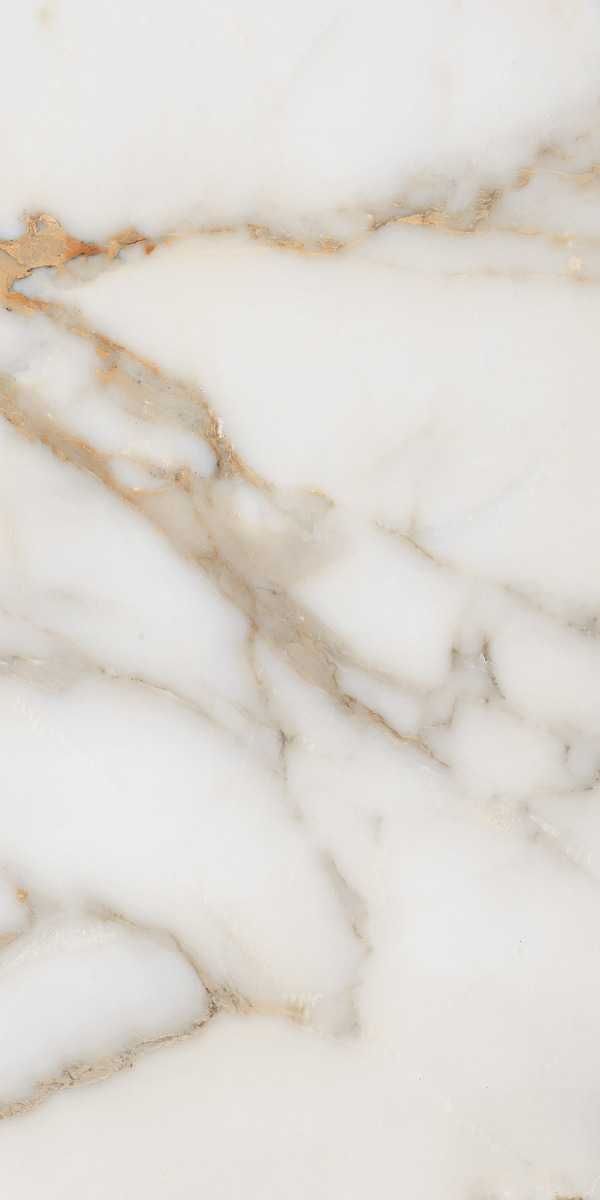 Gresie Alex Calacatta 60x120 Lucioasa