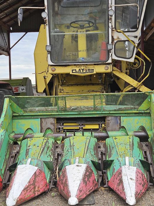 Masa porumb               .