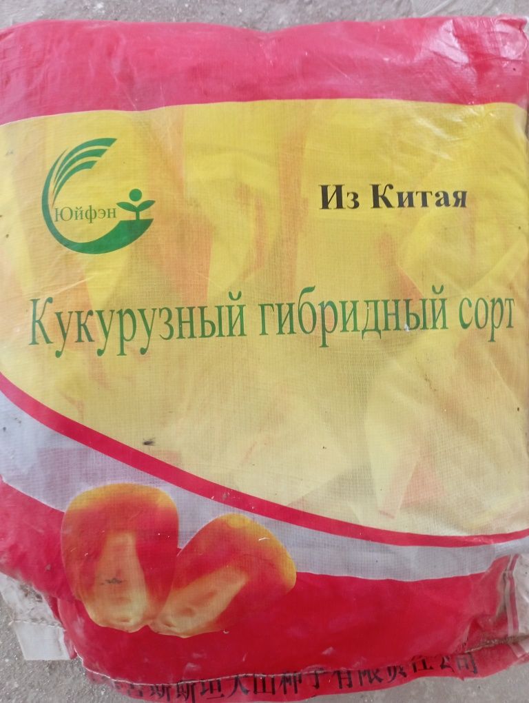 Makkajoxori doni