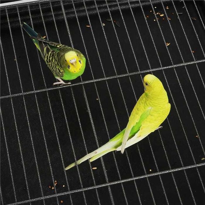 Colivie mare pentru păsări, cu raft și roți, negru |S 613753 Black