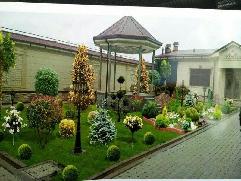 Gazon ekish xizmati
