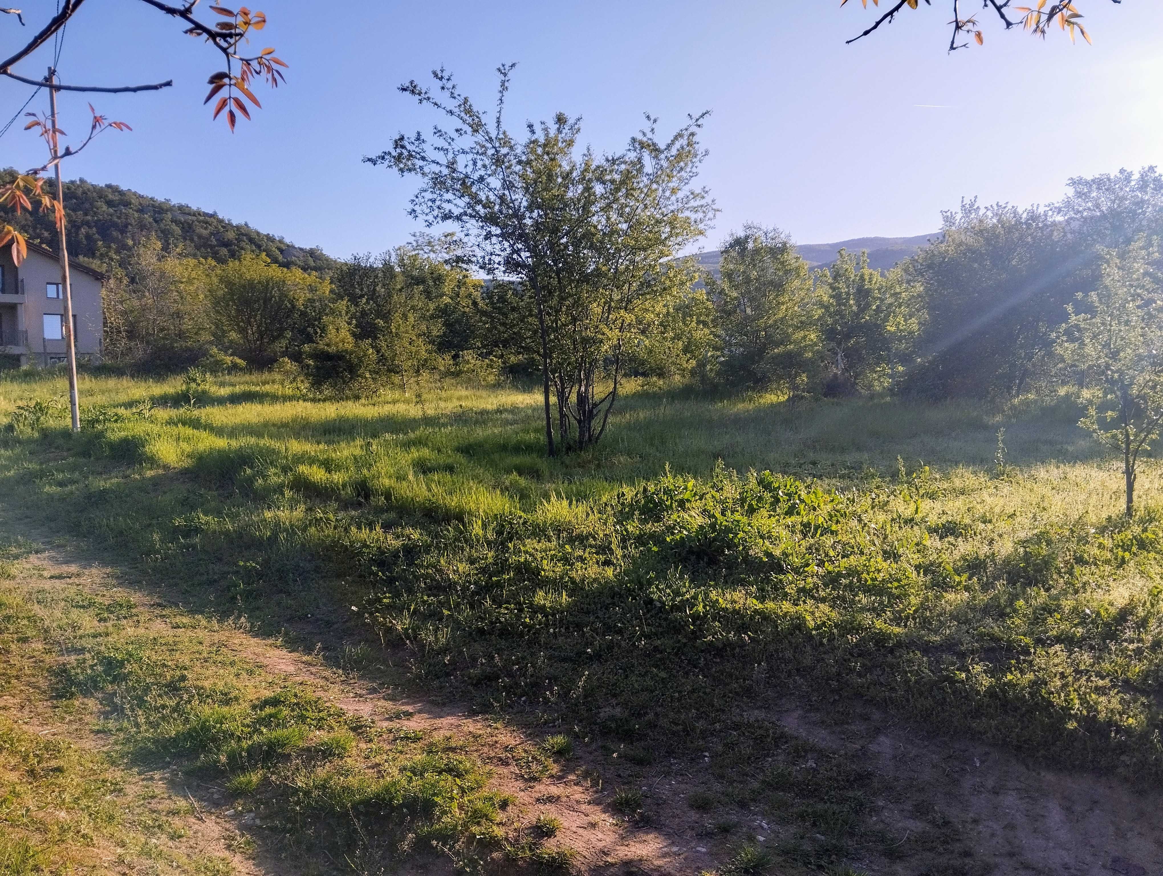 УПИ в село Сърнегор