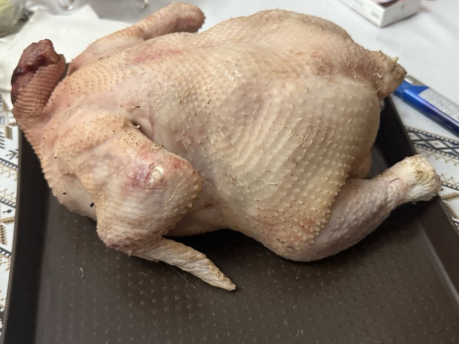 Мясо домашнего бройлера