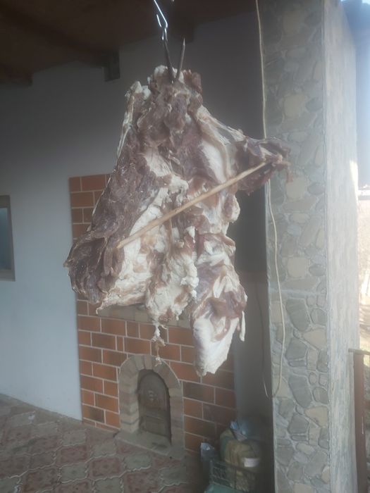 Vind 10 Oi   ,dau si la bucata