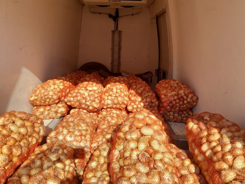 Ceapa de vanzare producție 2025