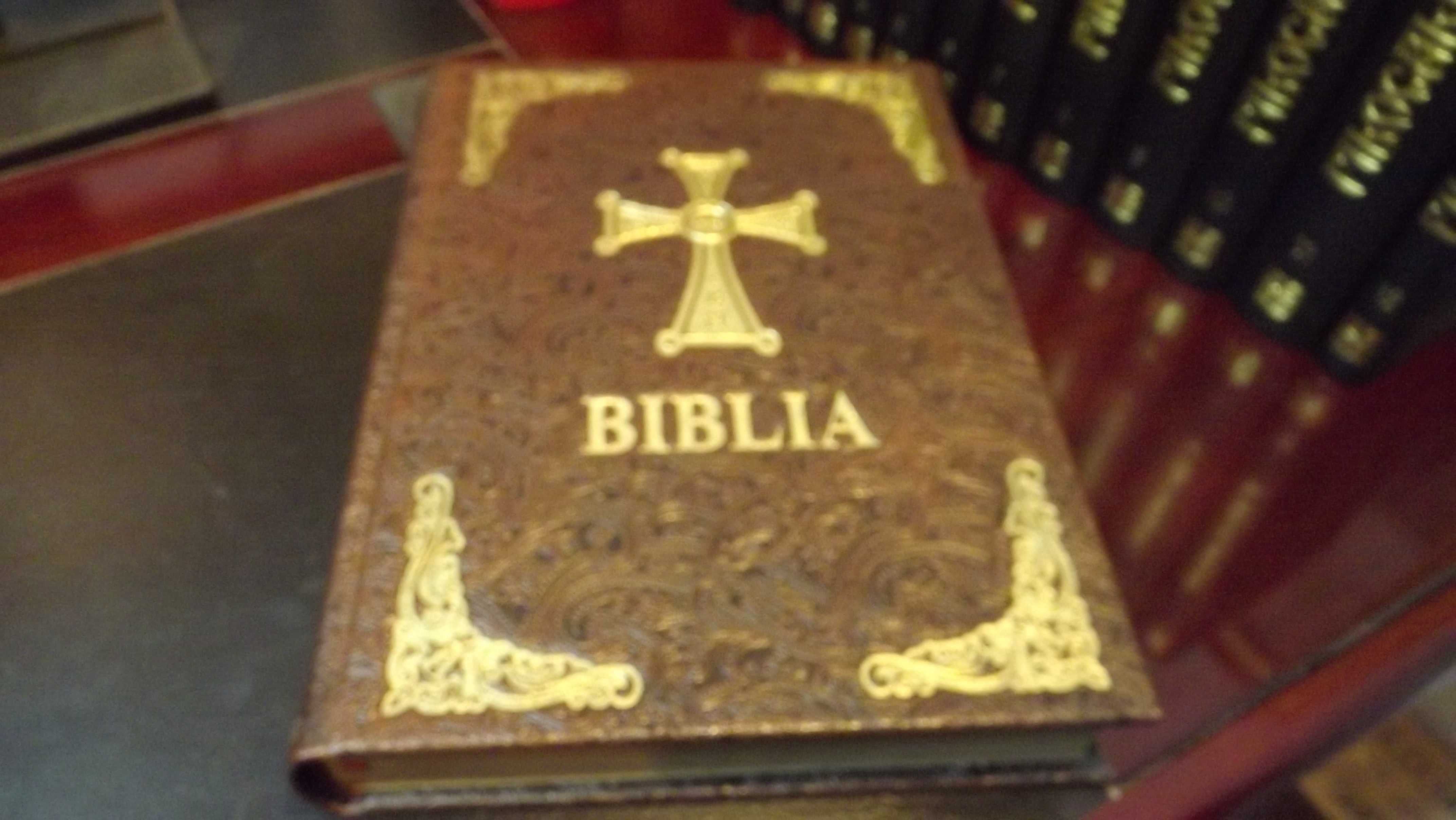 Biblia cu scris mare