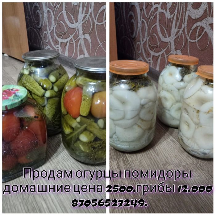 Продам огурцы помидоры домашние цена 2500. Грибы 12000