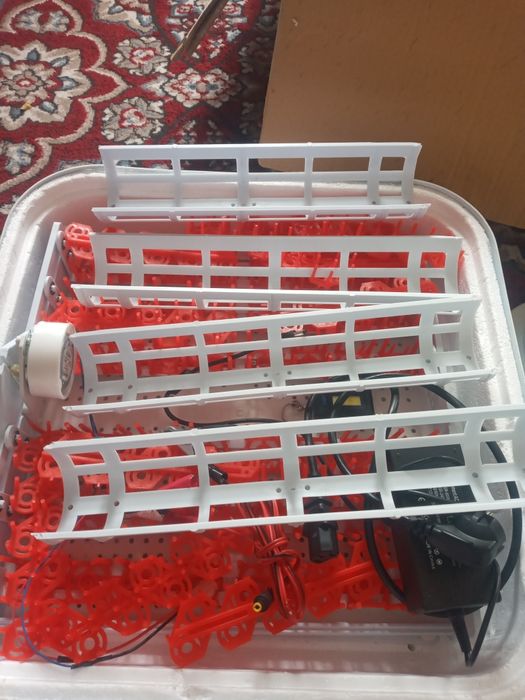 Inkubator tuxum ochirgich