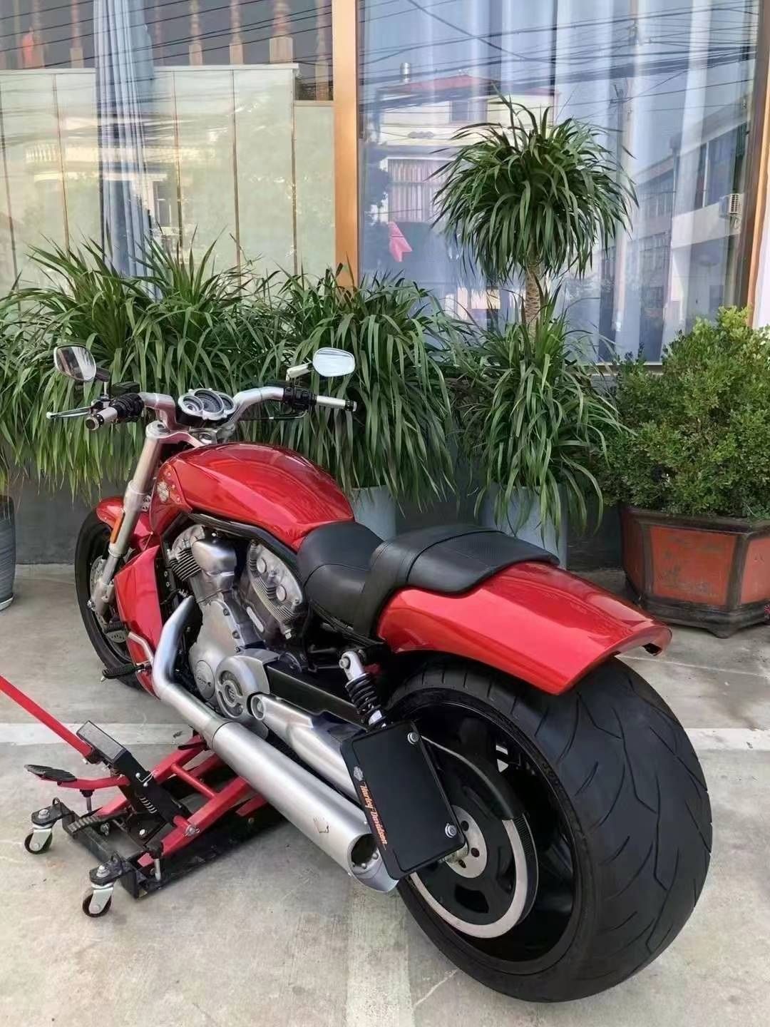 Harley-davidson v-rod