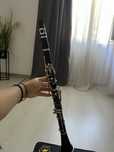 Vand clarinet scorpions nou