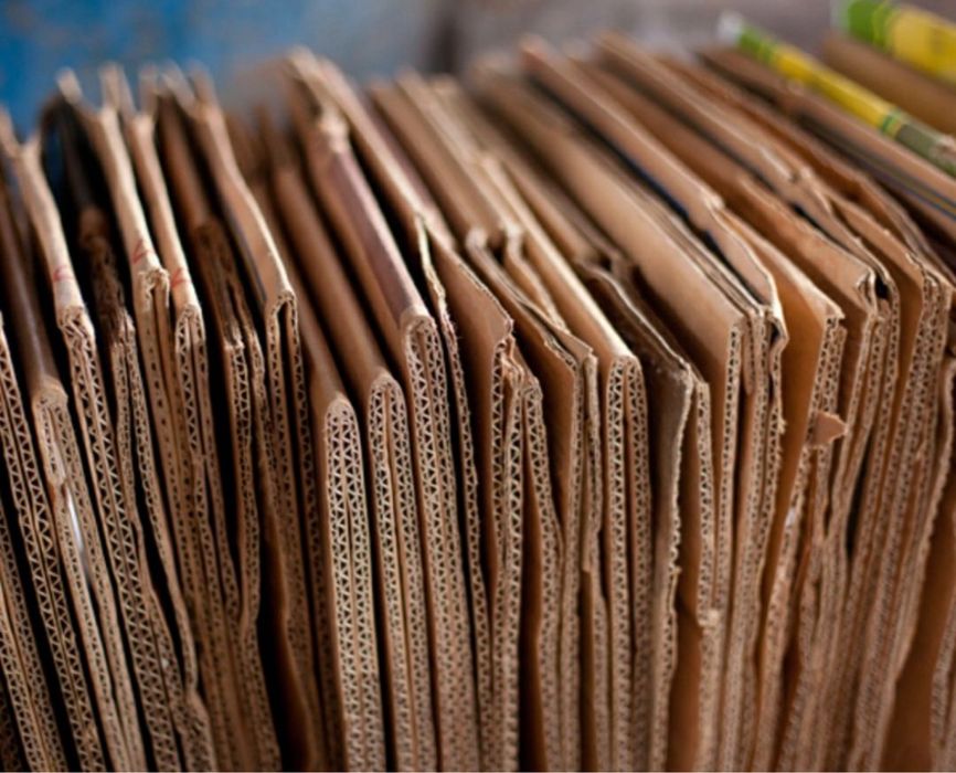 Lombozga karopka kardon maklatura