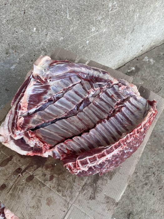 Qo’chqorlar, qassob xizmati