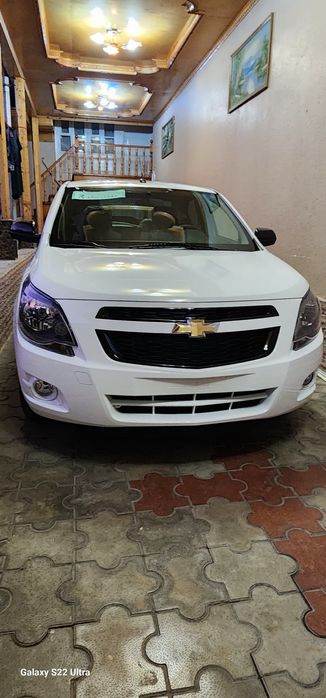 Cobalt Midnight (MCM) 2026