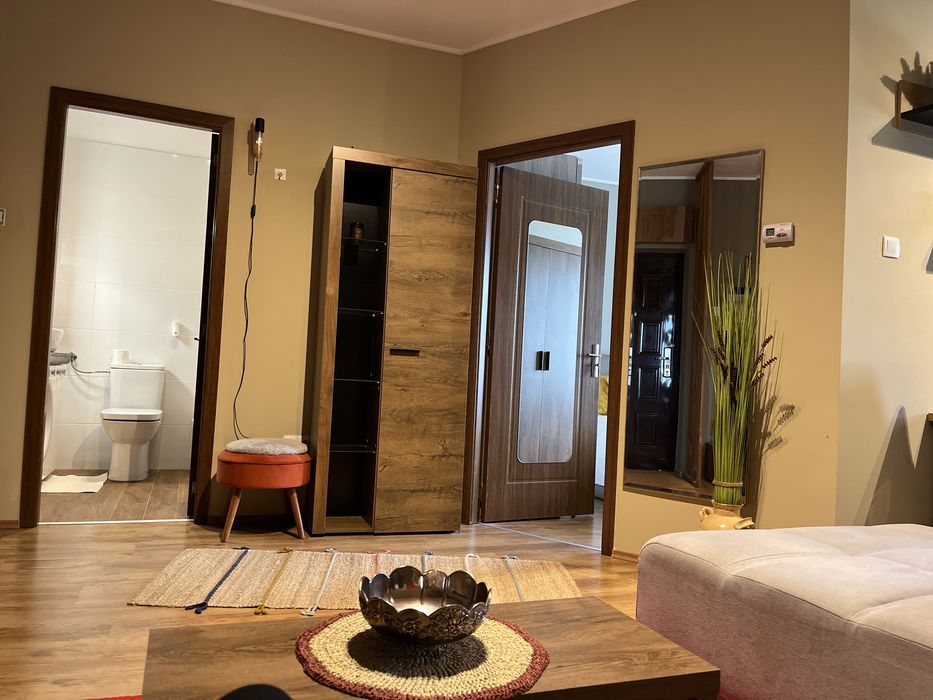 Apartament placut in Paleu