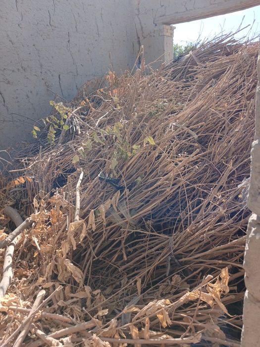 Tandirga oʻtin sotiladi