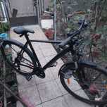 Biciclete treking,  roti 29" frane disc hidraulice