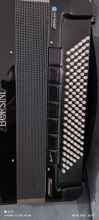 Acordeon BORSINI profesional
