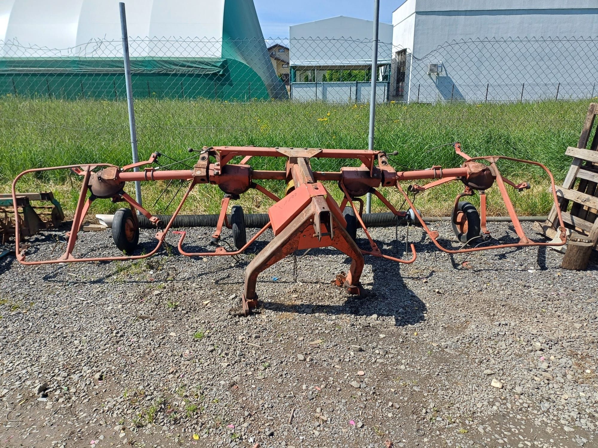 Grebla Fan Paianjen Adunat, Risipit  , Kuhn  ,Deutz