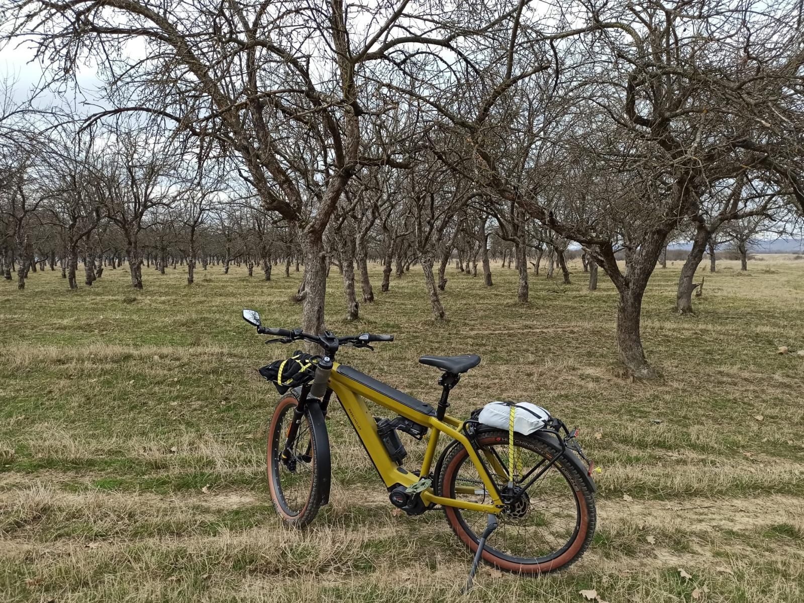 Bicicleta electrica Riese and Mueller Supercharger