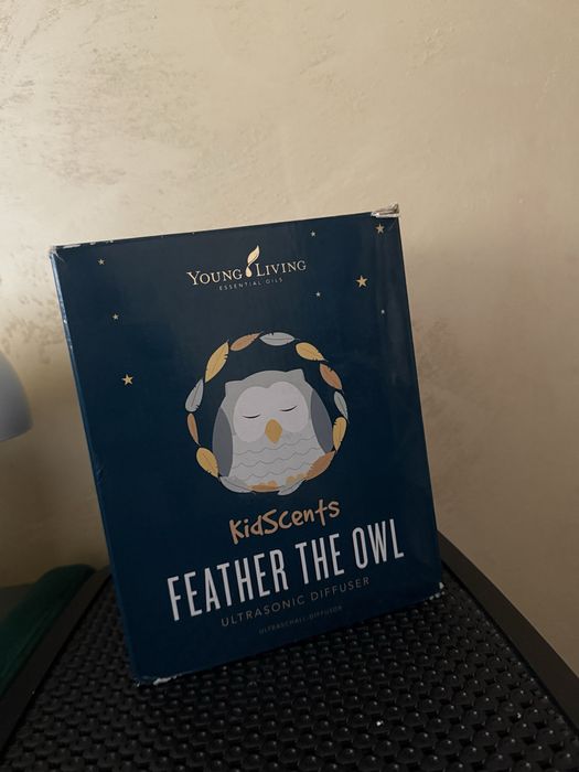 Vând aromaterapie Buftina cu lumini livrare astăzi