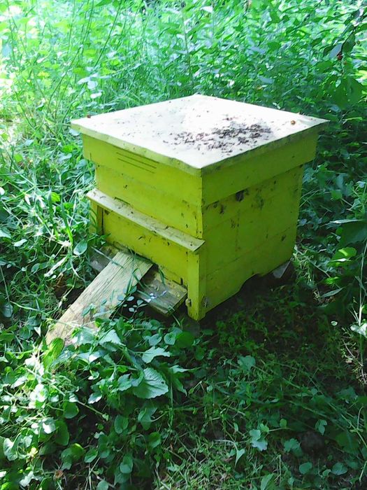 Пчелни кошери - употребявани , пчеларски инвентар.