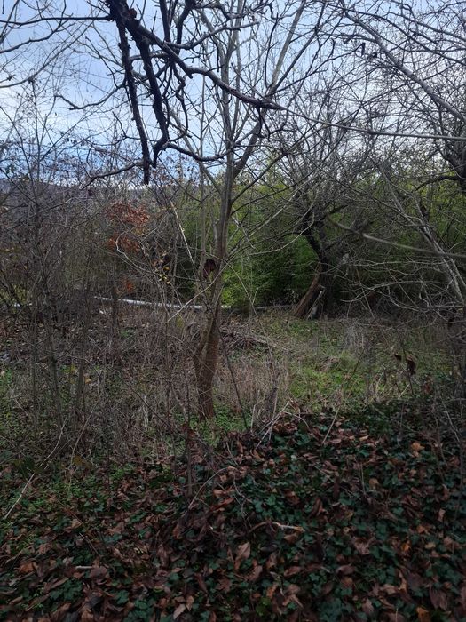 Парцел вилна зона с. Кичево