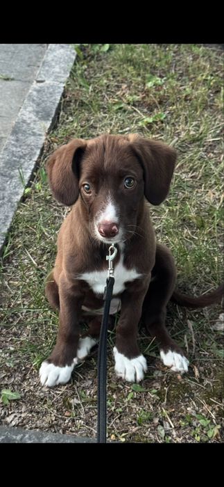 клавиатура DLK-6010UB, провода VGA (Video Graphics Array) б/у