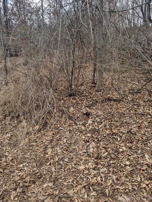 Teren extravilan si intravilan de vanzare in Valcea, Opatesti