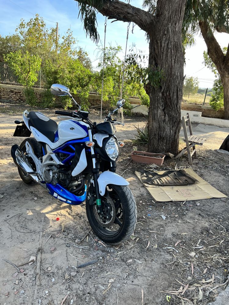 Suzuki Gladius 650